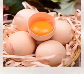 探寻土鸡蛋背后的天然之味：从农田到餐桌的营养传奇？